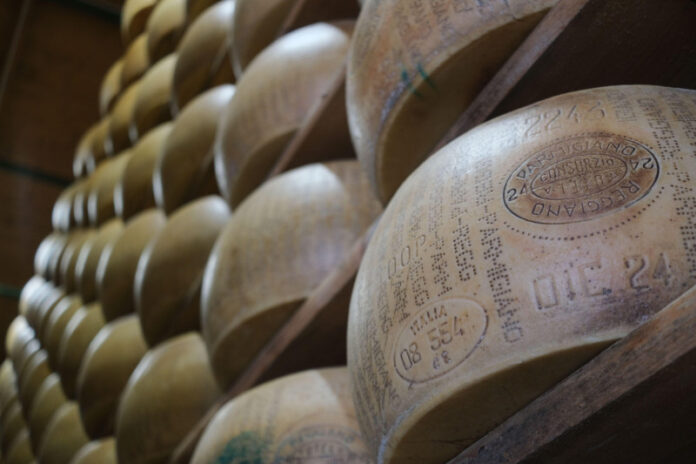 Căldura extremă amenință producția de Parmigiano Reggiano în Emilia-Romagna