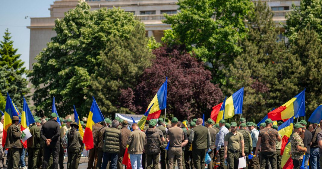 Federația Silva solicită modificarea legii salarizării pentru a proteja veniturile silvicultorilor