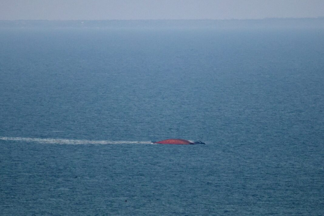 Nava de marfă „Golden Leo” s-a scufundat după atacul rusesc în Marea Neagră Nava de marfă „Golden Leo” s-a scufundat după atacul rusesc în Marea Neagră