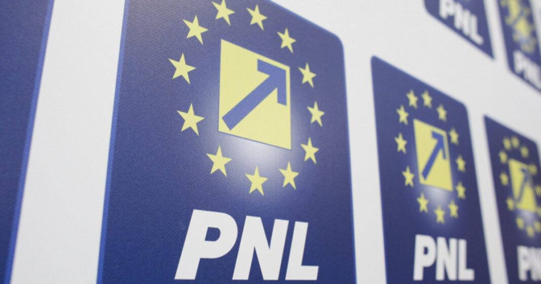 Nicoleta Pauliuc propune amânarea creșterii TVA la imobiliare în PNL