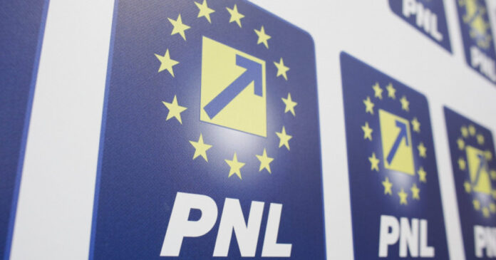 Nicoleta Pauliuc propune amânarea creșterii TVA la imobiliare în PNL
