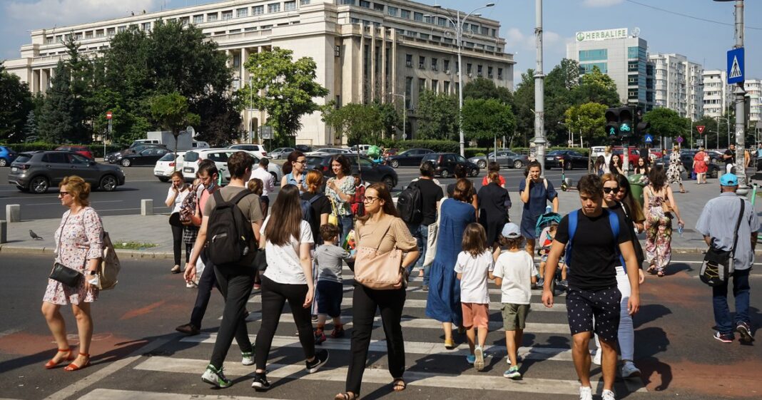 Comerțul cu ridicata în România a scăzut cu 6,9% în iulie 2026 față de anul trecut Comerțul cu ridicata în România a scăzut cu 6,9% în iulie 2026 față de anul trecut