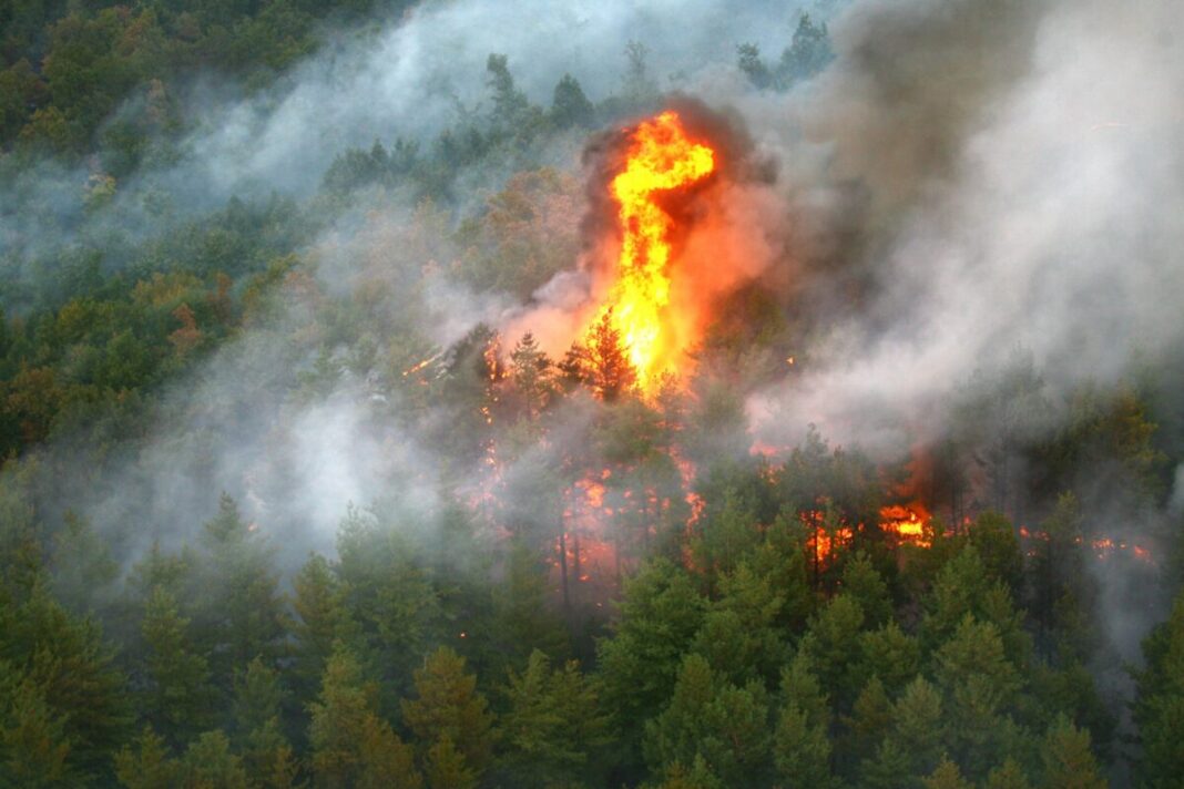 Comitetul Județean pentru Situații de Urgență Hunedoara aprobat plan de intervenție pentru incendiul din Parcul Național Retezat Comitetul Județean pentru Situații de Urgență Hunedoara aprobat plan de intervenție pentru incendiul din Parcul Național Retezat